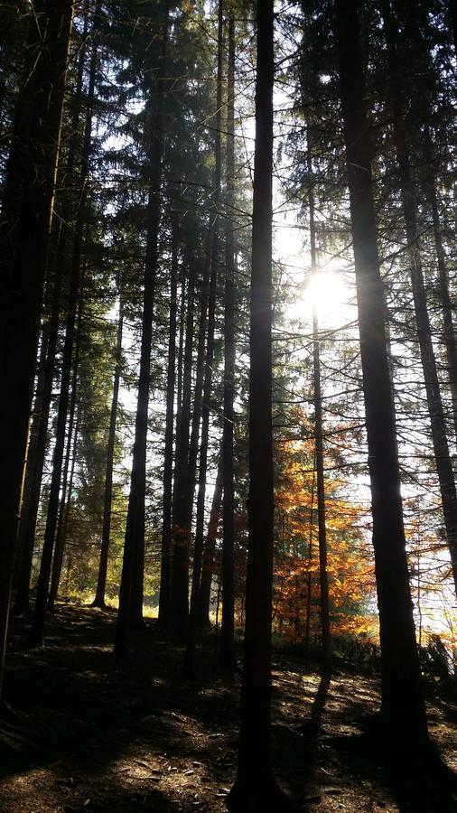 Chata Adavy Liptovský Ján Buitenkant foto