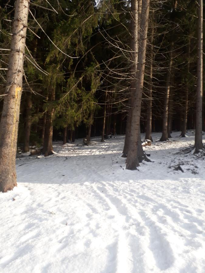 Chata Adavy Liptovský Ján Buitenkant foto